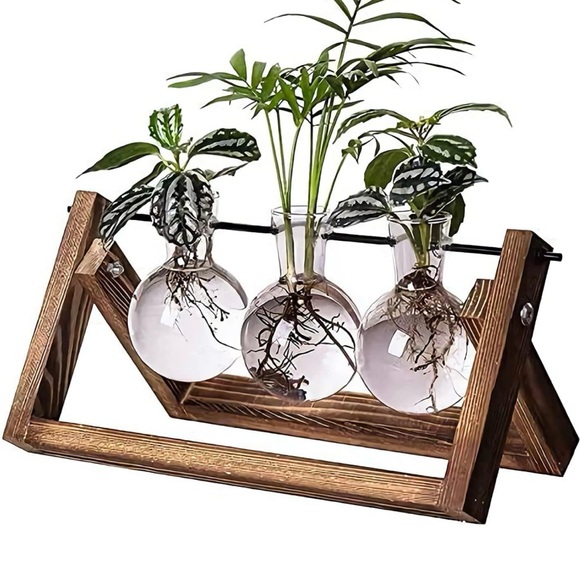 Suction cup rooter, new in the box - Picture 4 of 6